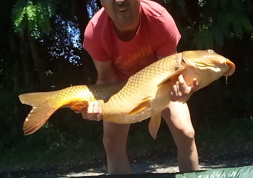 ISOLA DEL PESCATORE 23 iulie 2018 - screenshot2018-07-23-14-33-28.png